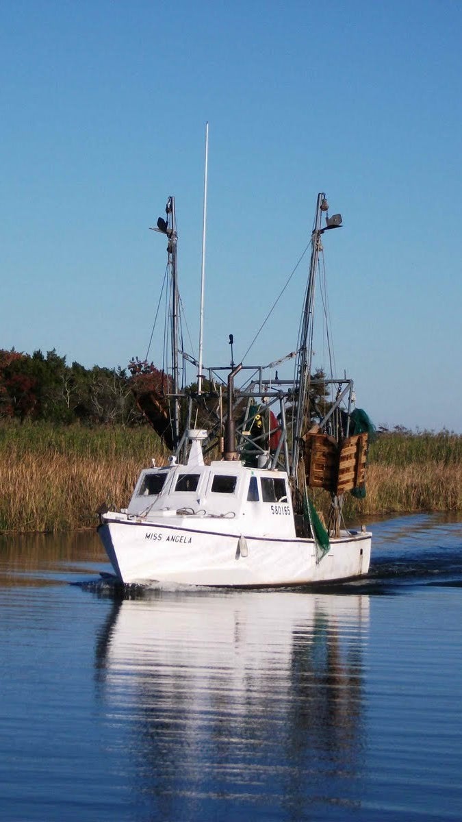 Apalachicola Real Estate Port Realty Group